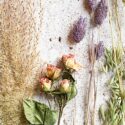 Quinta essentia – az ötödik lényeg
