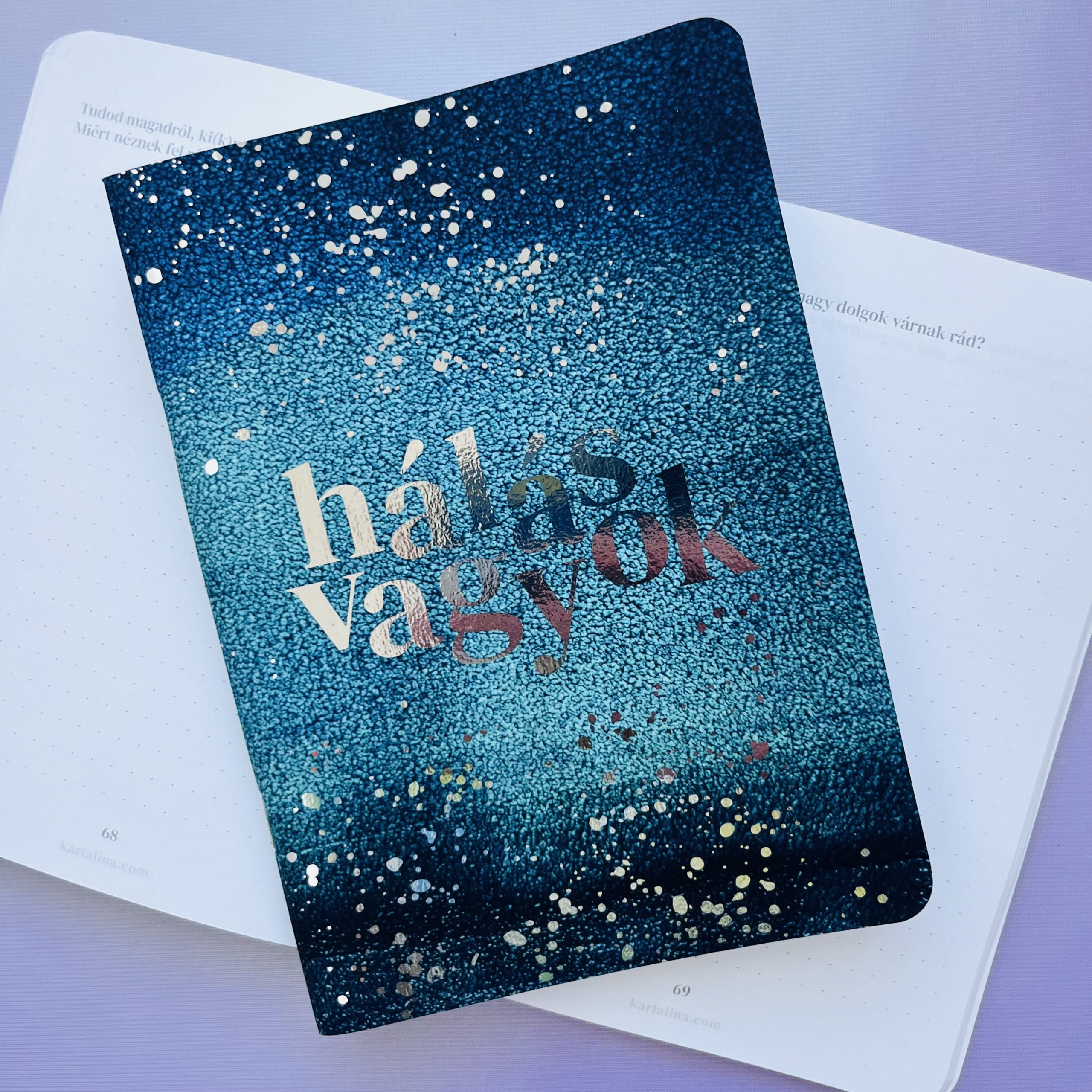 funkció és forma - HálaNapló – sokféle borító közül választhatsz! - Image 15