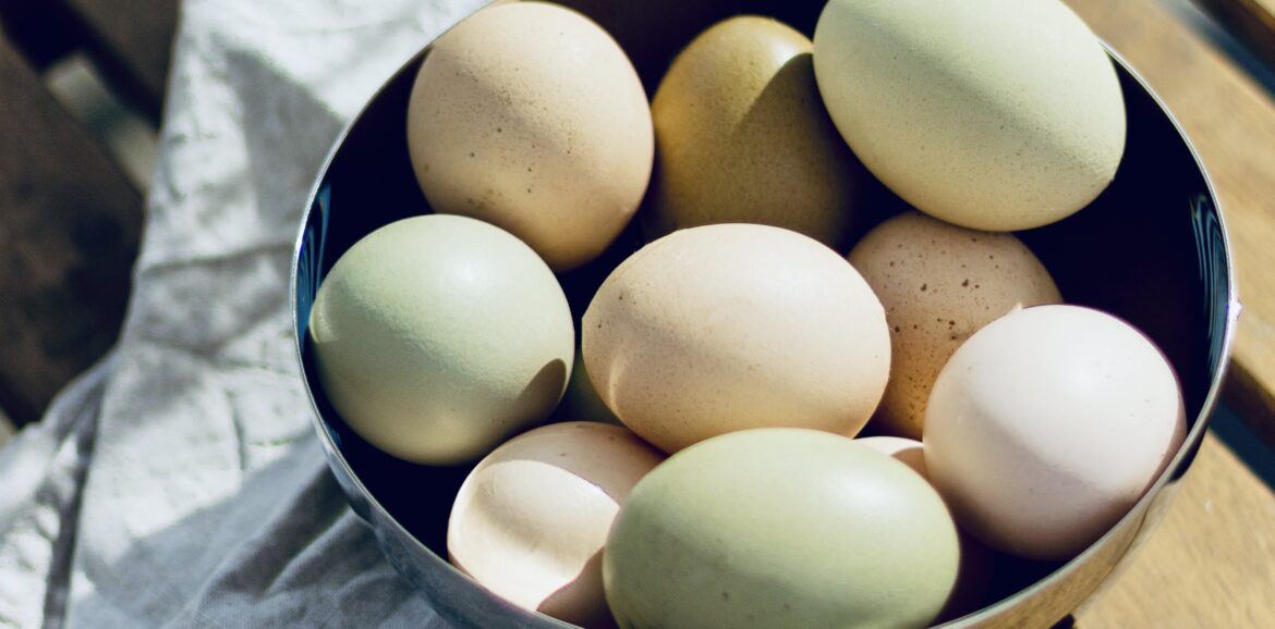 funkcio es forma eletmod blog tojas